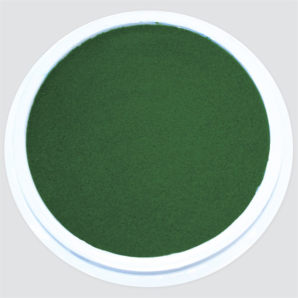 CleverPatch Washable Paint Pad - Green