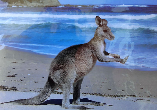 Puzzle - Kangaroo - 35 Pieces