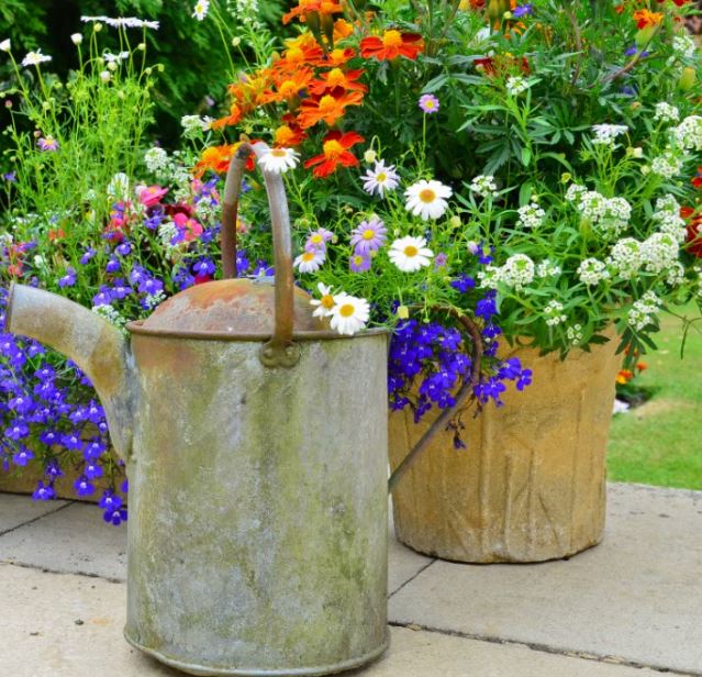 Puzzle - Flowers & Watering Can - 60 Pieces