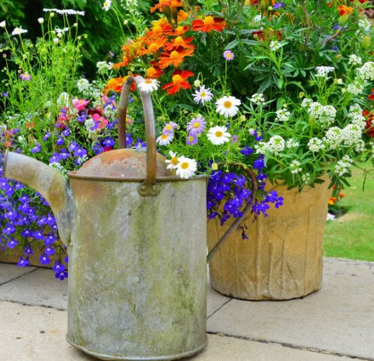 Puzzle - Flowers & Watering Can - 60 Pieces